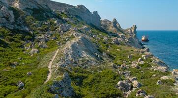 Green steppe vegetation among the shell rocks of Dzhangul of the landslide coast in the western Crimea, Tarkhankut photo