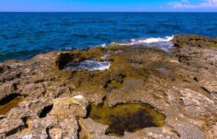 Flat rocky shore with many littoral puddles rich in life, in the eastern Crimea, Black Sea photo