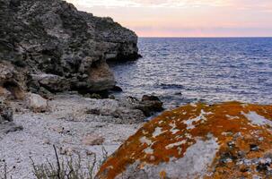 Yellow and gray lichens on coastal rocks and stones in eastern Crimea photo