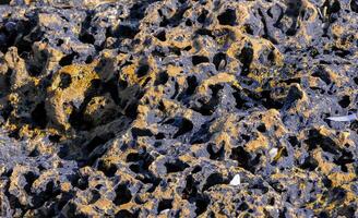 Water destruction of coastal shell rocks and shore by waves during a storm, Black Sea photo
