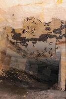 A large colony of bats resting during the day in the catacombs of eastern Crimea photo
