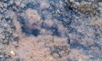 Crystals of self-precipitating table salt on the shore of a drying salt lake in eastern Crimea photo