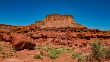 Layered geological formations of red rocks in Canyonlands National Park is in Utah near Moab. photo
