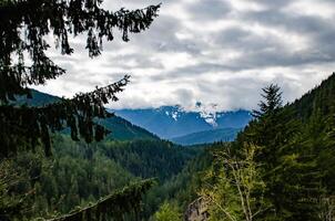 View of the mountains in the clouds, coniferous forest in the mountains, Washington state photo