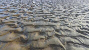 Waves on a muddy bottom in a sea channel at low tide photo