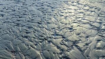 Waves on a muddy bottom in a sea channel at low tide photo