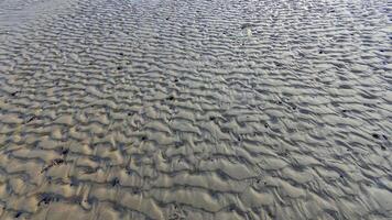 Waves on a muddy bottom in a sea channel at low tide photo