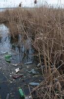 Environmental problem, garbage. Contamination with debris and plastic of natural reservoirs. Ukraine photo
