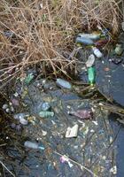 Environmental problem, garbage. Contamination with debris and plastic of natural reservoirs. Ukraine photo