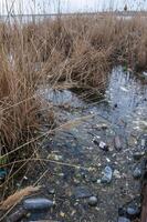 Environmental problem, garbage. Contamination with debris and plastic of natural reservoirs. Ukraine photo