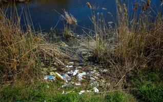 Plastic garbage on the shore in Hadzhibeysky estuary. Eutrophication of the reservoir, the problem of ecology photo