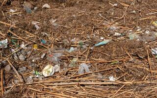 Plastic garbage in nature, pollution photo