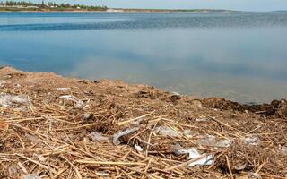 Plastic garbage in nature, pollution photo