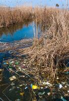 Plastic garbage on the shore in Hadzhibeysky estuary. Eutrophication of the reservoir, the problem of ecology photo