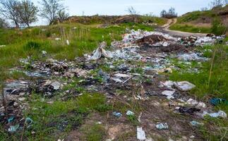 Heaps of plastic trash on the shore of the reservoir. Ecology of nature photo