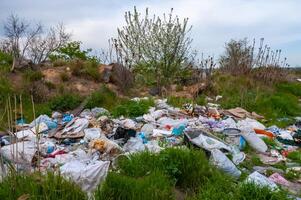 Heaps of plastic trash on the shore of the reservoir. Ecology of nature photo