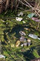Environmental problem, garbage. Contamination with debris and plastic photo