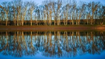 Scenic view, Reflection of trees in the calm water of a small lake photo