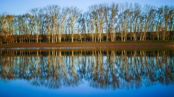 Scenic view, Reflection of trees in the calm water of a small lake photo