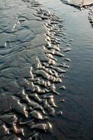Kuyalnik Liman, water flows out of mud baths and flows into Kuyalnik Liman photo
