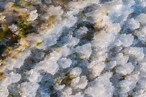 Weathered ice and frozen snow in the form of needle crystals on the bank of the Tiligul Estuary on a sunny day photo