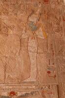 EGYPT, LUXOR - MARCH 01, 2019 archaeological site, drawings and geoglyphs on the walls of an ancient temple, the temple of Hatshepsut near Luxor in Egypt photo