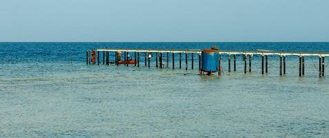 Pier for diving over a coral reef near the shore in the Red Sea photo