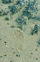 Bare foot print on the wet sand on the Red Sea coast, Egypt photo