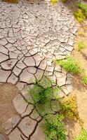 Dry cracked red clay in the desert in the bed of a dried up water stream, Egypt photo