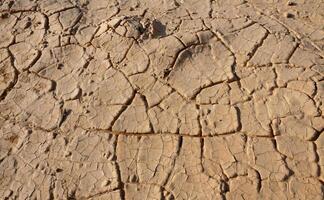 Dry cracked red clay in the desert in the bed of a dried up water stream, Egypt photo