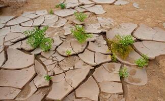 Dry cracked red clay in the desert in the bed of a dried up water stream, Egypt photo