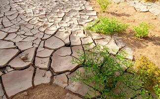 Dry cracked red clay in the desert in the bed of a dried up water stream, Egypt photo