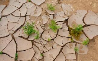 Dry cracked red clay in the desert in the bed of a dried up water stream, Egypt photo