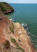Steep clayey and shell rock shore overgrown with wild steppe vegetation on the island of Berezan, Ukraine photo