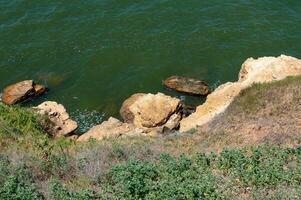 Steep clayey and shell rock shore overgrown with wild steppe vegetation on the island of Berezan, Ukraine photo