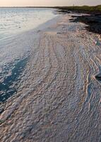 Wavy Dirty foam driven by the wind to the shore of the Tuzlovsky estuary photo