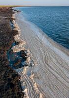 Wavy Dirty foam driven by the wind to the shore of the Tuzlovsky estuary photo