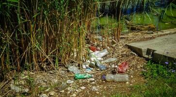 Wildlife plastic pollution, garbage and propylene bottles on the shore of the lake photo