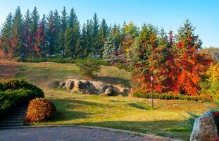 Autumn park with trees with yellow leaves. Uman, Sofievsky park photo
