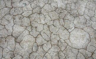 Dry cracked salty silt in the upper Kuyalnik estuary, Ukraine photo