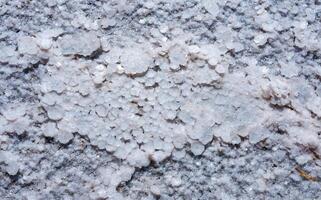 Self-precipitating table salt sodium chloride on the surface of a dried-up reservoir - Kuyalnik estuary, Odessa region, Ukraine photo