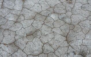 Dry cracked salty silt in the upper Kuyalnik estuary, Ukraine photo