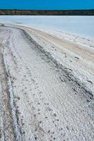 Self-precipitating table salt sodium chloride on the surface of a dried-up reservoir - Kuyalnik estuary, Odessa region, Ukraine photo