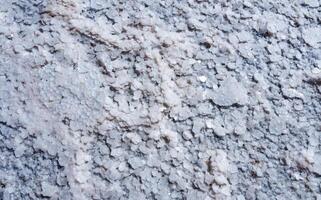 Crystallized salt on a muddy bottom in the upper Kuyalnitsky estuary. Kuyalnik Estuary, Ukraine photo