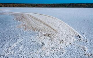 Self-precipitating table salt sodium chloride on the surface of a dried-up reservoir - Kuyalnik estuary, Odessa region, Ukraine photo