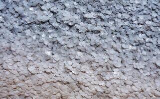 Crystallized salt on a muddy bottom in the upper Kuyalnitsky estuary. Kuyalnik Estuary, Ukraine photo