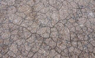 Dry cracked salty silt in the upper Kuyalnik estuary, Ukraine photo