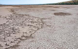 Dry cracked salty silt in the upper Kuyalnik estuary, Ukraine photo