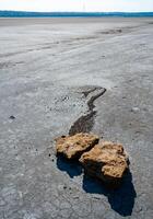 Shell stones in the valley of the drying up hyperhaline Kuyalnik estuary, Odessa region photo