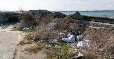 Pollution with plastic waste and microplastics on the shore of the Khadzhibey estuary photo